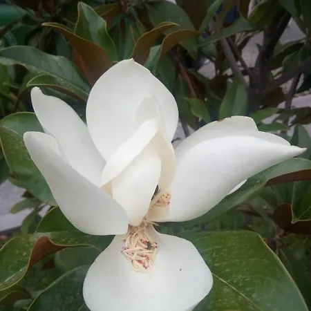 別荘 Cozy Nook House *