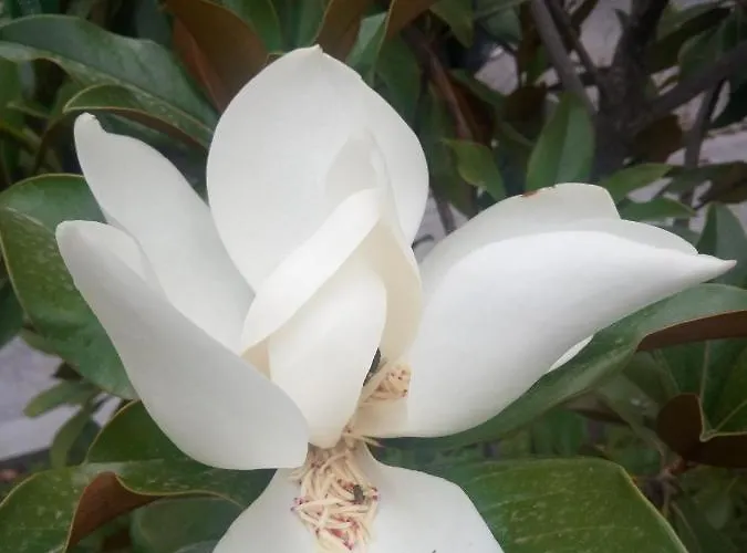 Casa vacanze Cozy Nook House *